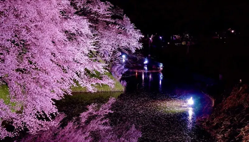霞城公園