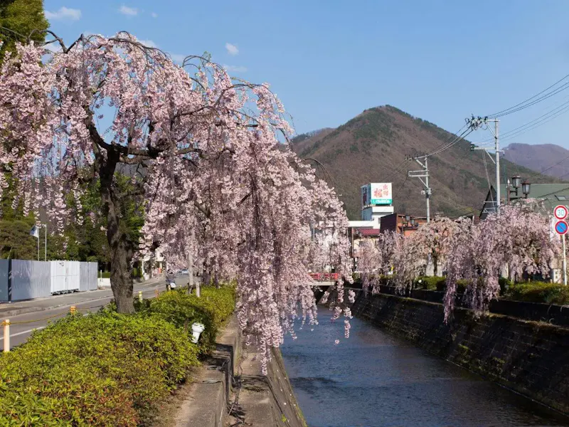天童温泉