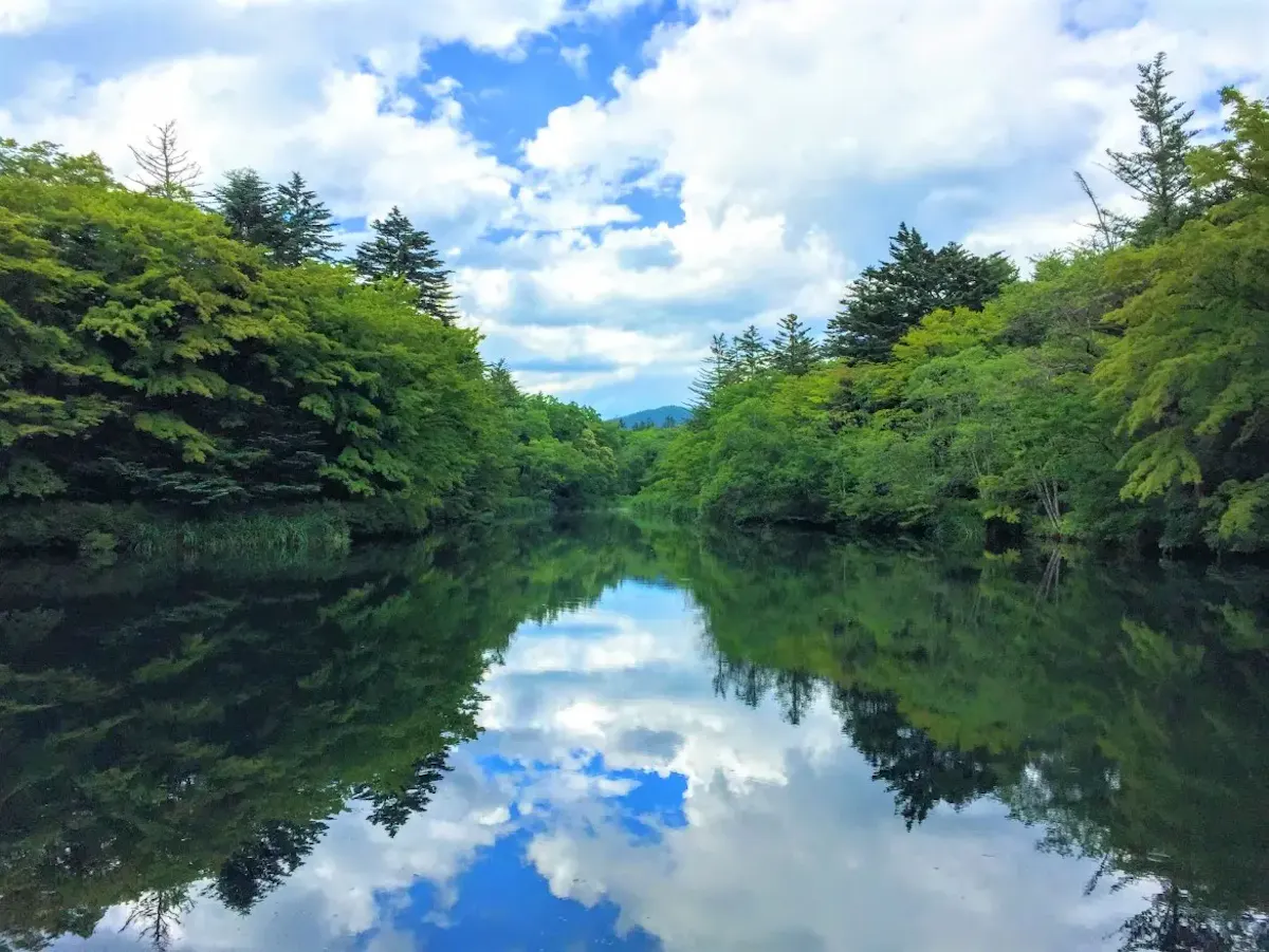 雲場池（写真 2）