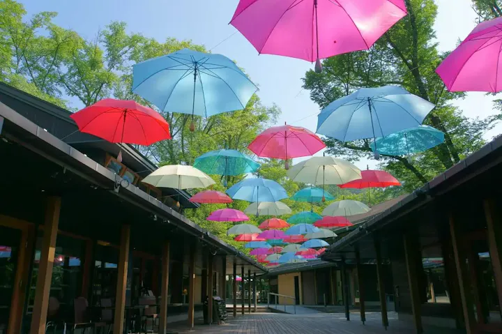 夏でも涼しい軽井沢。上着を持参しよう