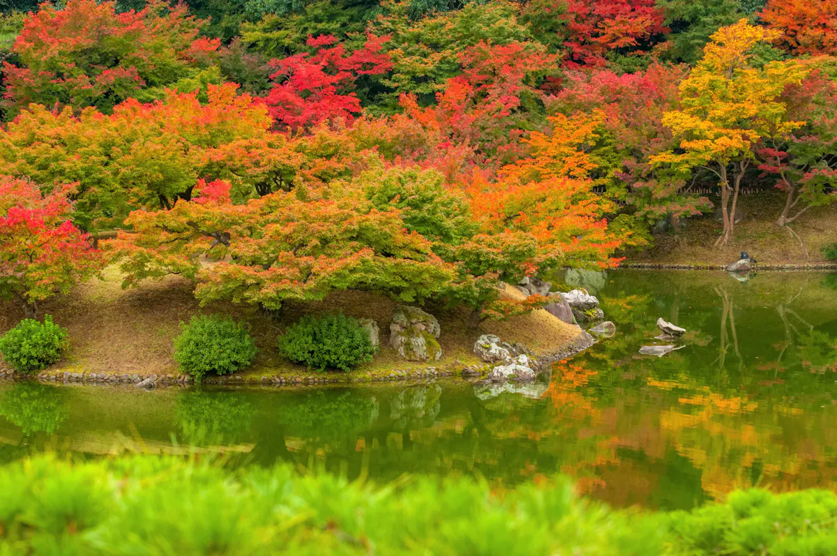 栗林公園（写真 3）