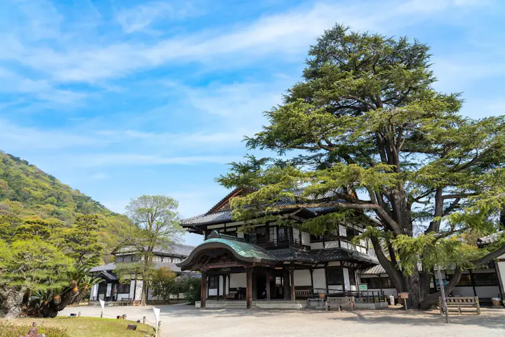 栗林公園の歴史を刻む巨木