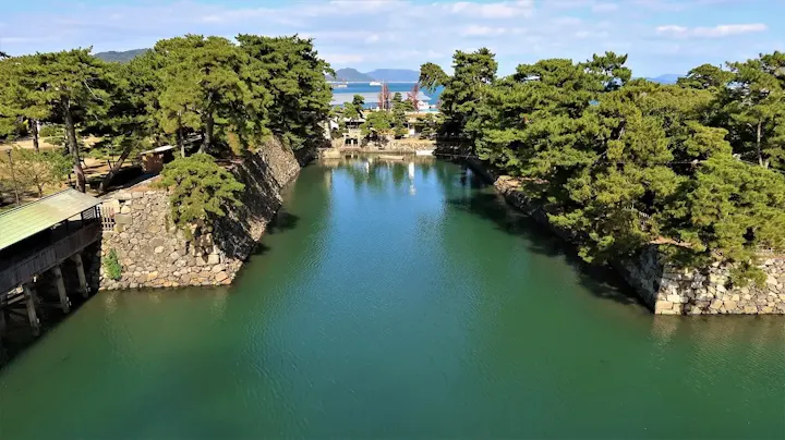 鯛のエサやりで魚と触れ合う