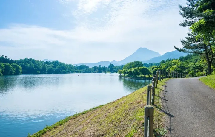 志高湖散策で自然に触れる！