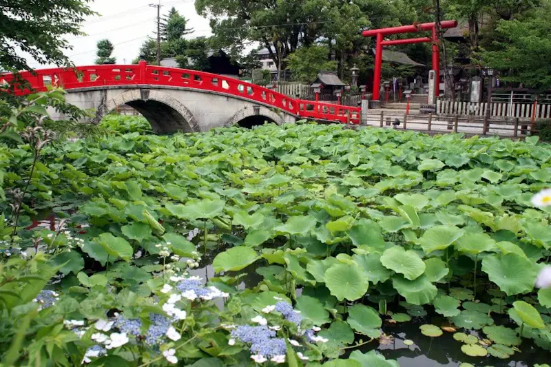 青井阿蘇神社
