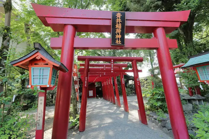 鮮やかな赤い鳥居が連なる青井稲荷神社!