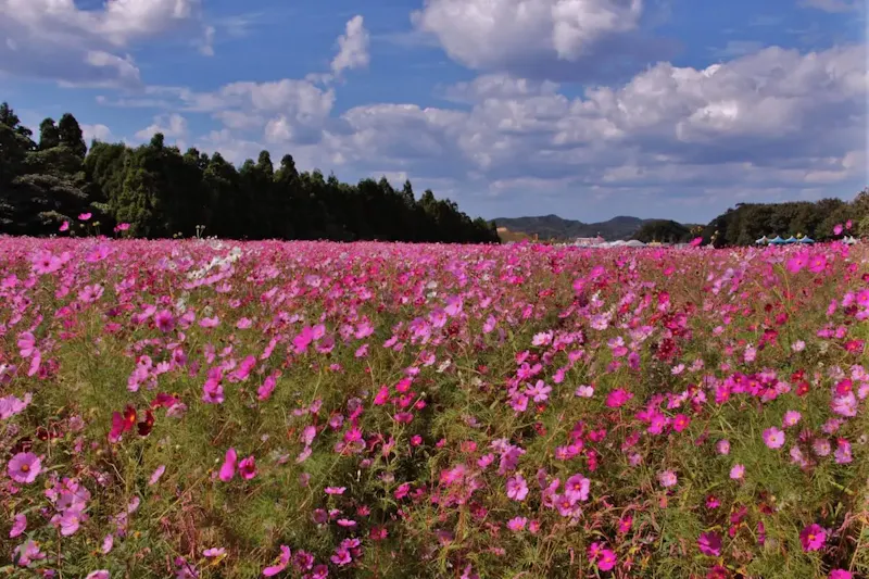 川棚温泉
