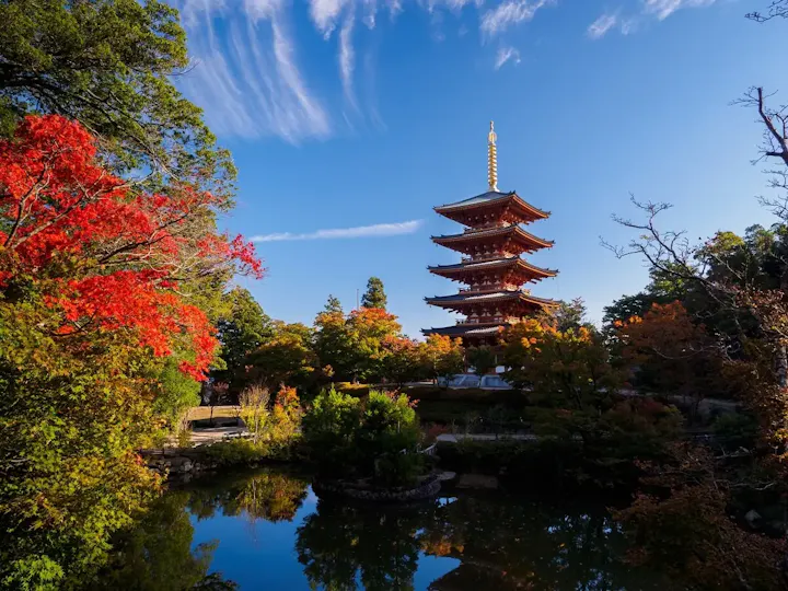 紅葉ライトアップを楽しむ