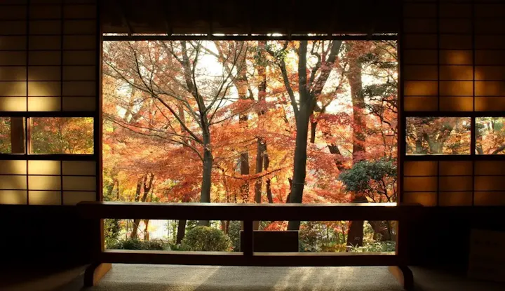 旧朝倉家住宅で紅葉狩り