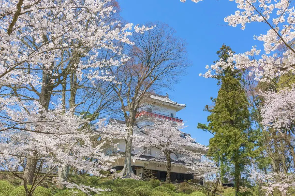 千秋公園(写真 3)