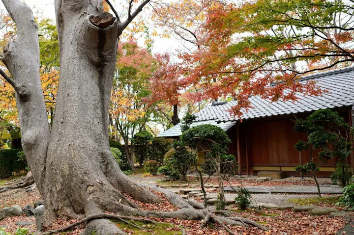 千秋公園の一角に佇む本格的な茶室・宣庵!