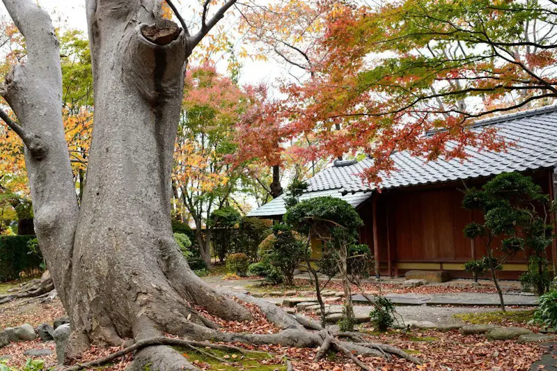 千秋公園