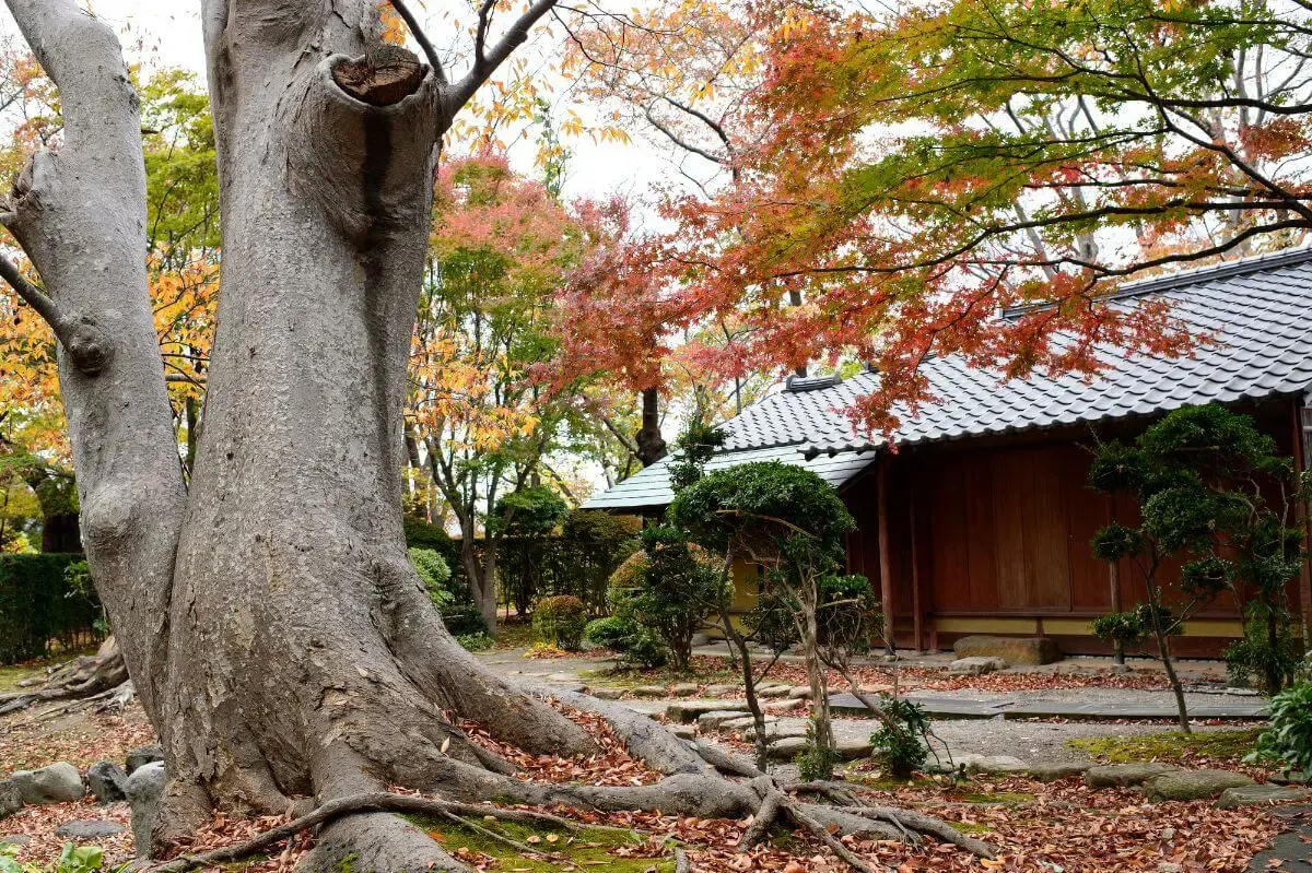 千秋公園(写真 5)