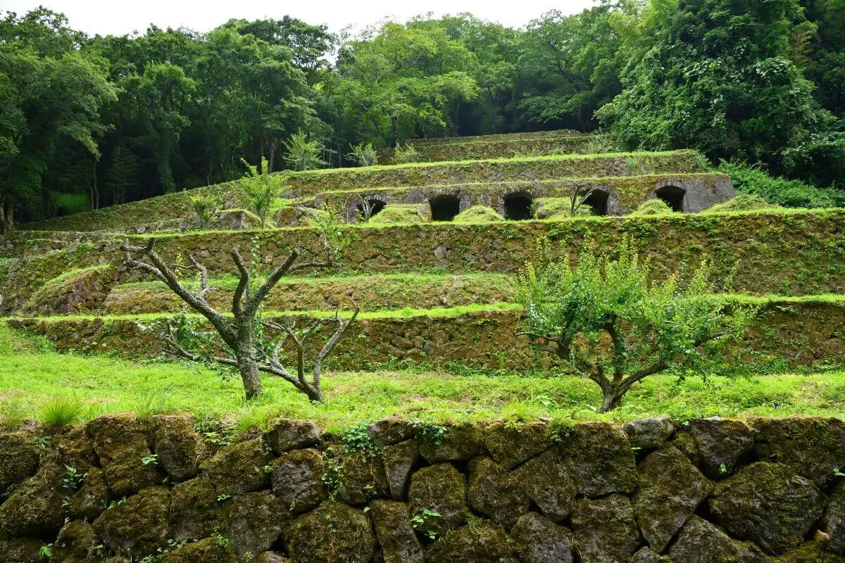 龍源寺間歩(写真 5)