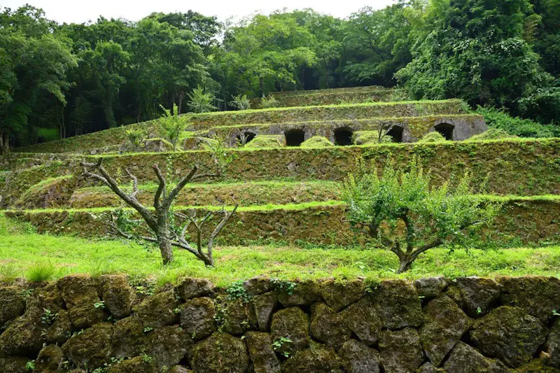 龍源寺間歩