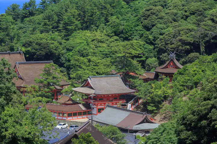 壮大な雰囲気を醸し出す美しい社殿群！