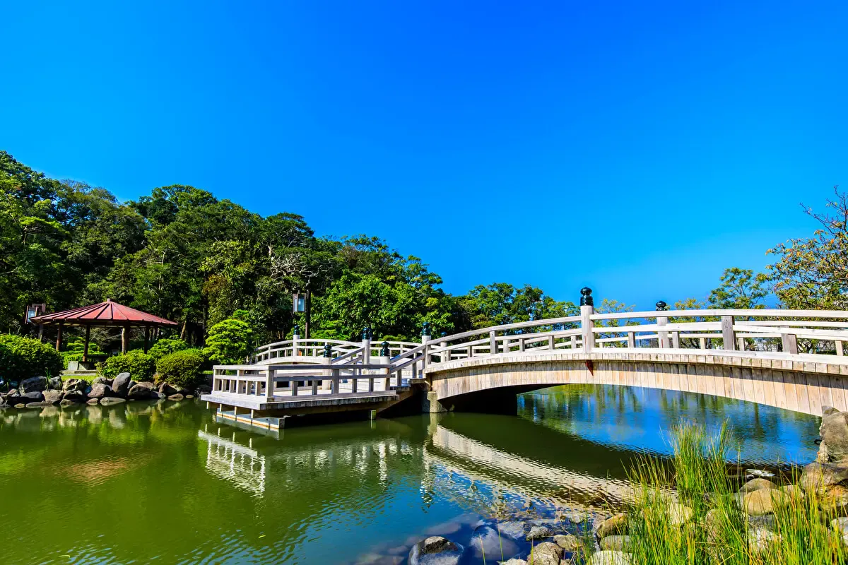 大村公園の桜
