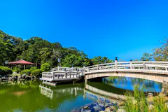 大村公園の桜