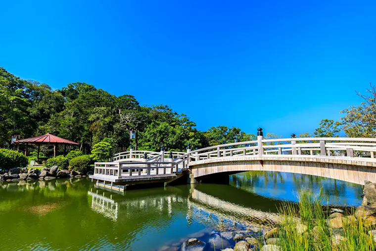 大村公園の桜
