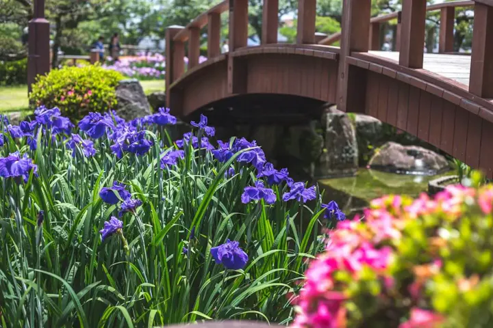 四季折々の花々も楽しめる