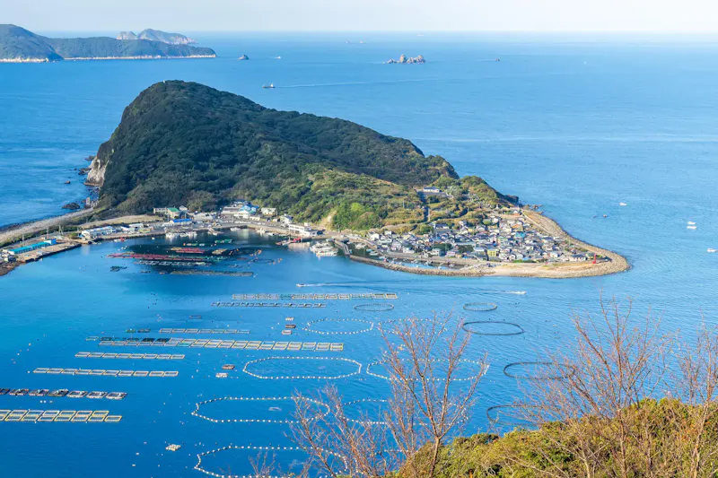 柏島