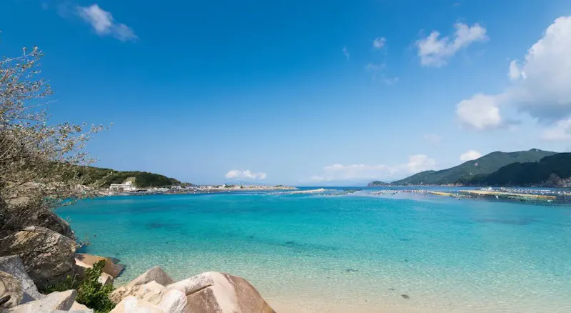 柏島