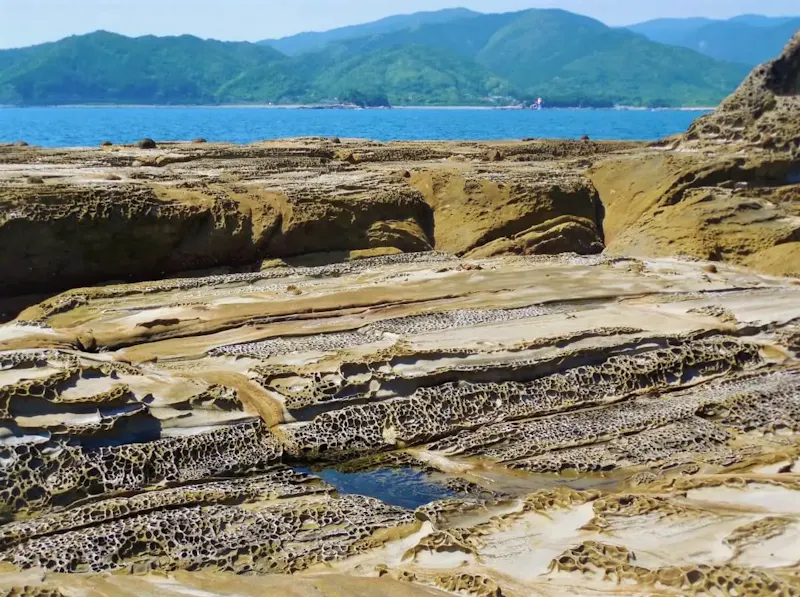 竜串海岸