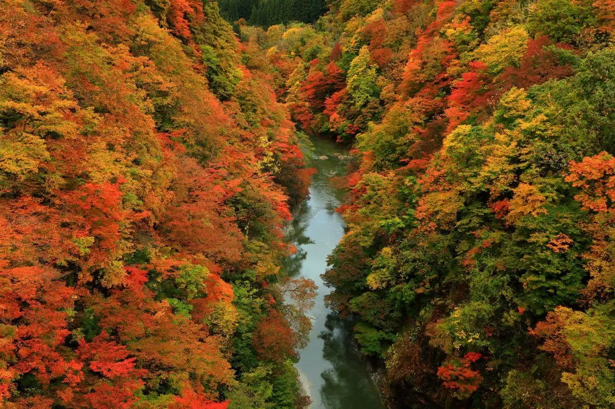 小安峡温泉(写真 2)