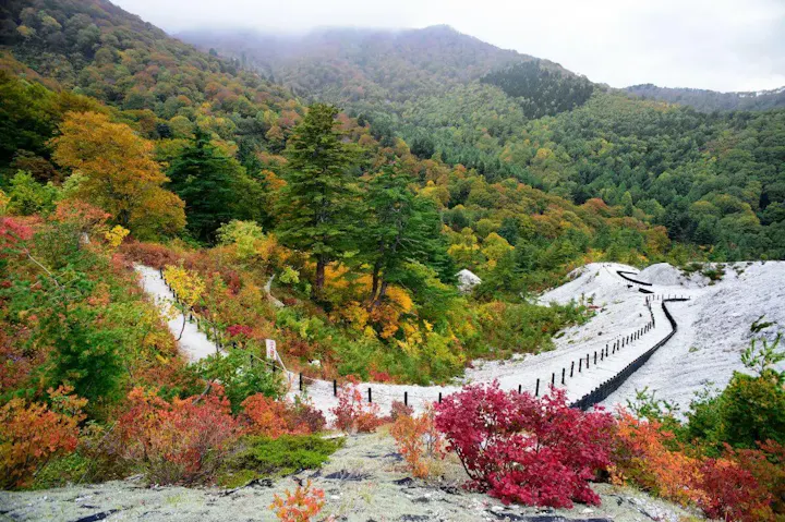 地獄の奇岩や山々を一望できる展望台！