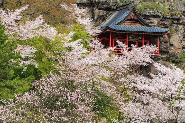隠れた桜の名所