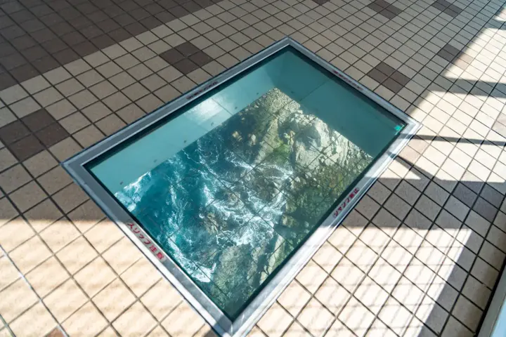 渦の道で真上から渦潮をのぞこう