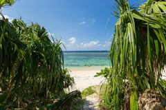 米原海岸