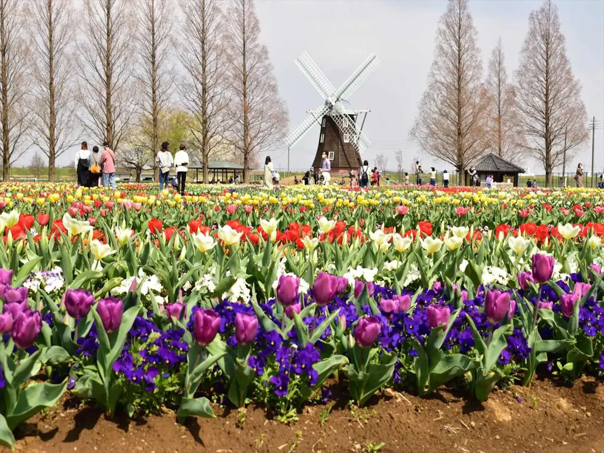 あけぼの山農業公園