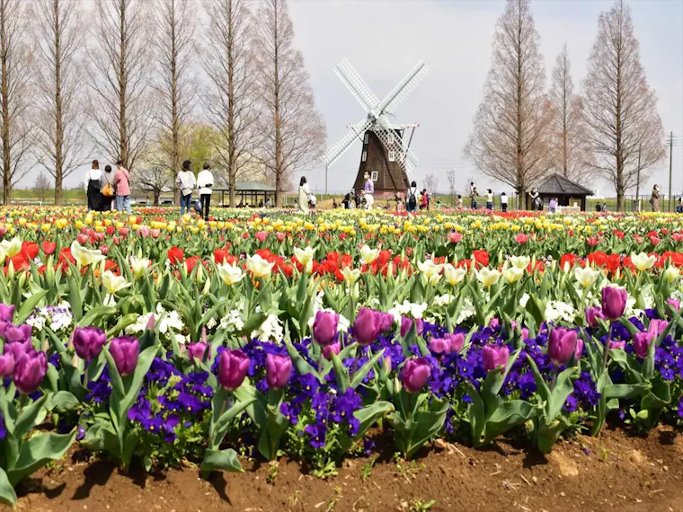 あけぼの山農業公園