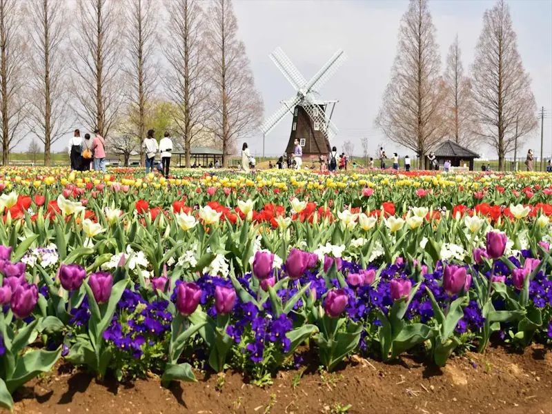 あけぼの山農業公園
