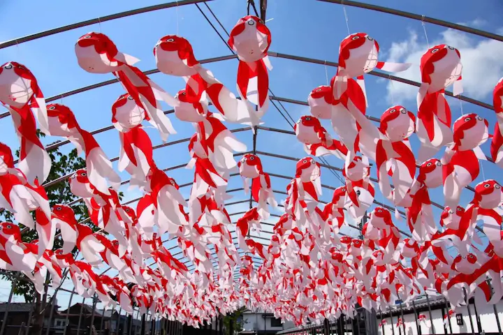 柳井の夏といえば「金魚ちょうちん祭り」