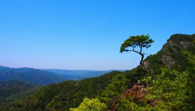 鳳来寺山