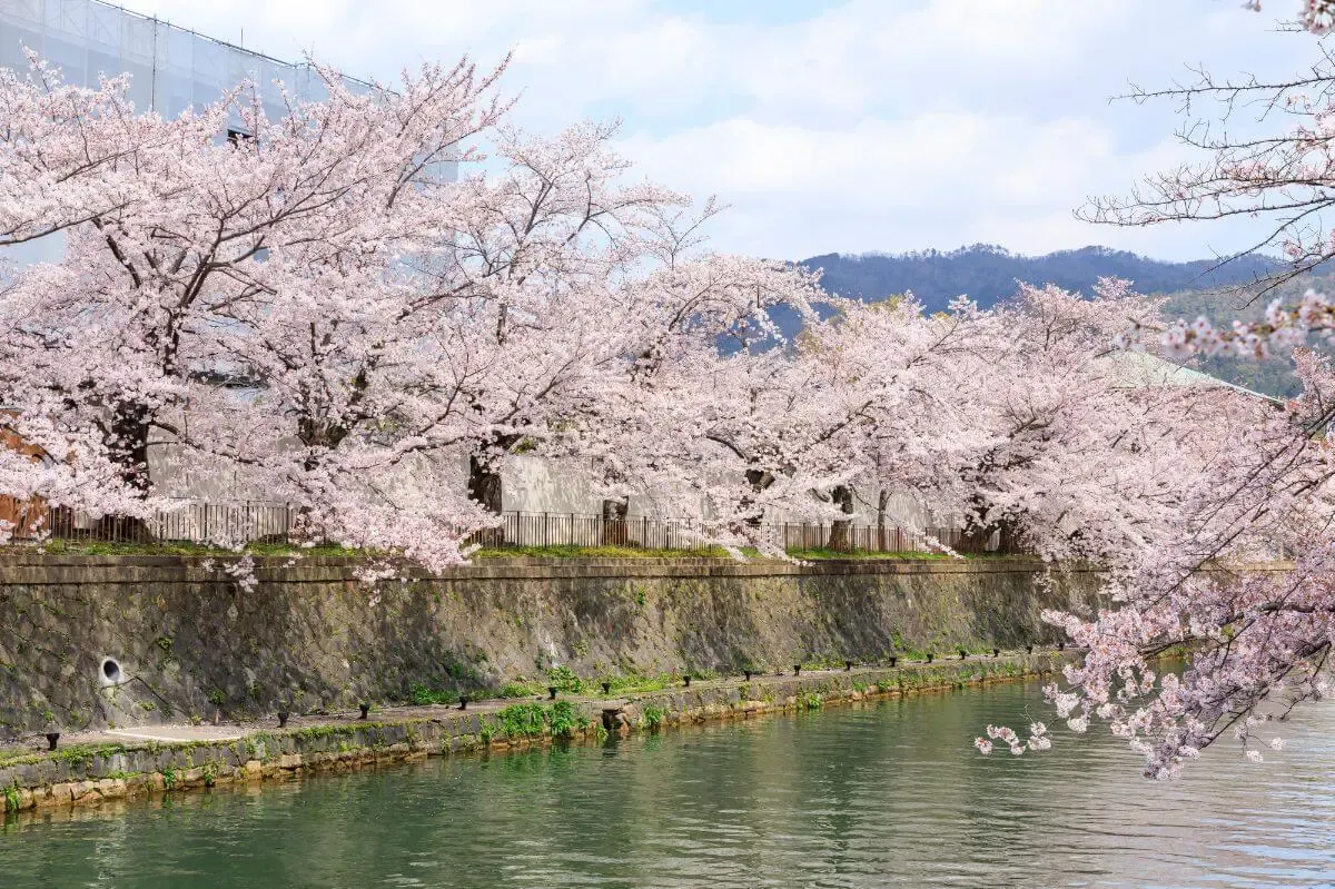 岡崎城（写真 5）