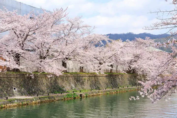 岡崎城と共に歴史を感じられる公園！