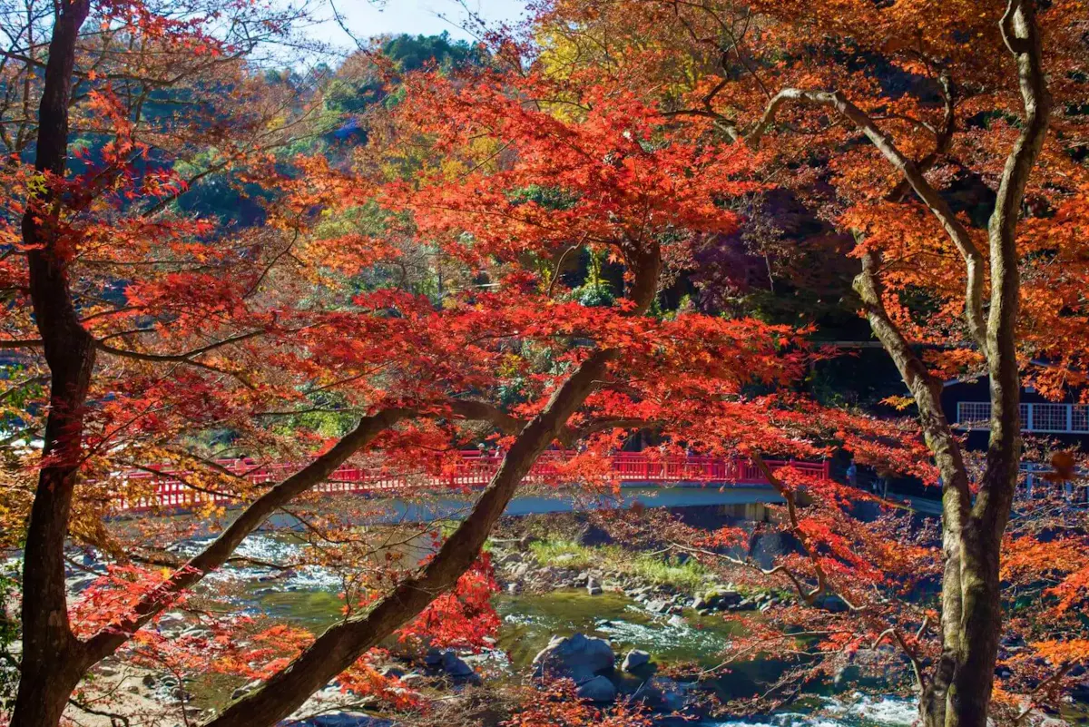 香嵐渓(写真 3)