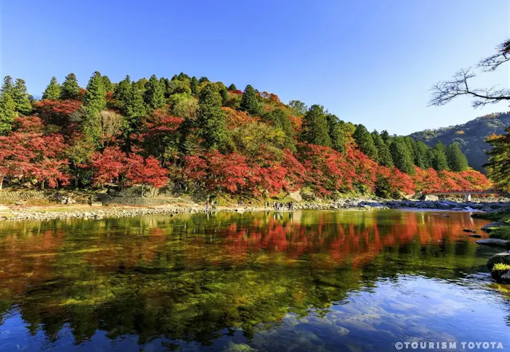 紅葉の名所として有名な渓谷!