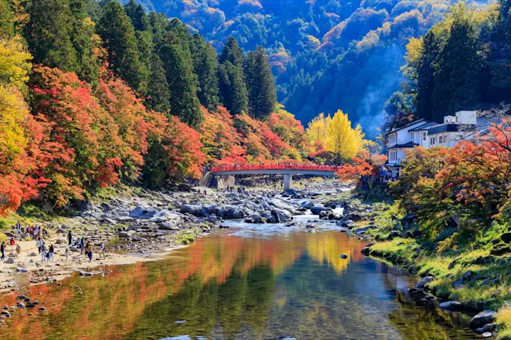幻想的な雰囲気を醸し出す紅葉の渓谷!