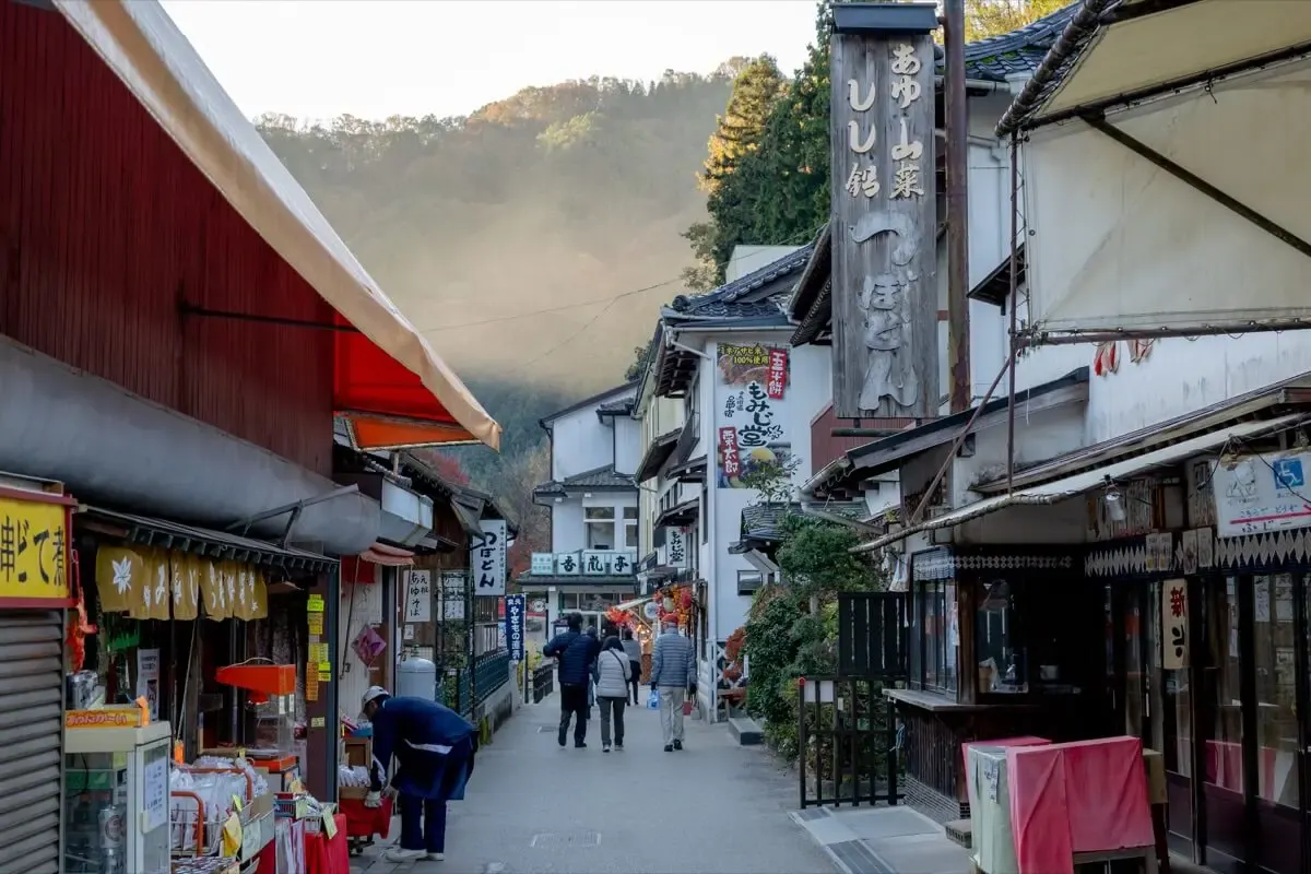 香嵐渓(写真 2)