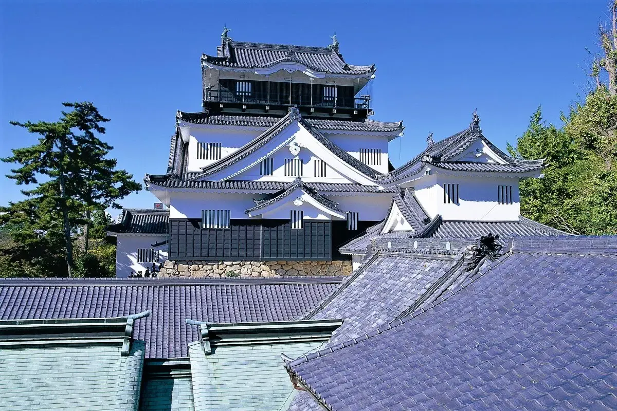 カクキュー八丁味噌（写真 5）