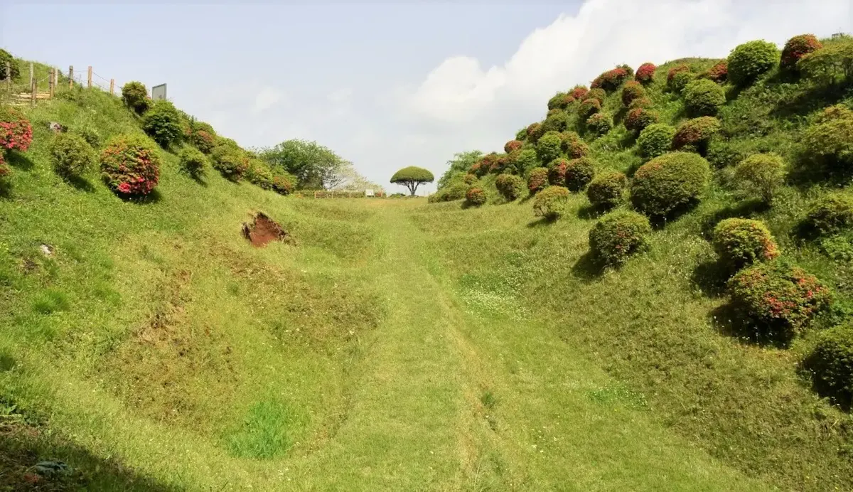 山中城跡公園(写真 2)