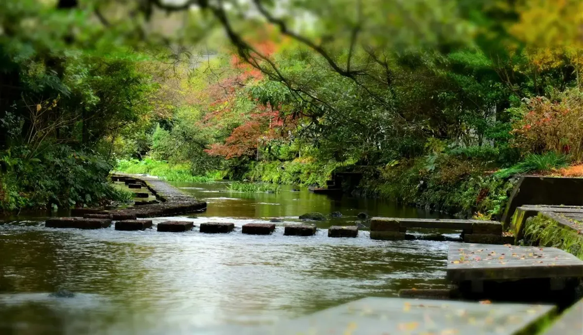 楽寿園(写真 2)