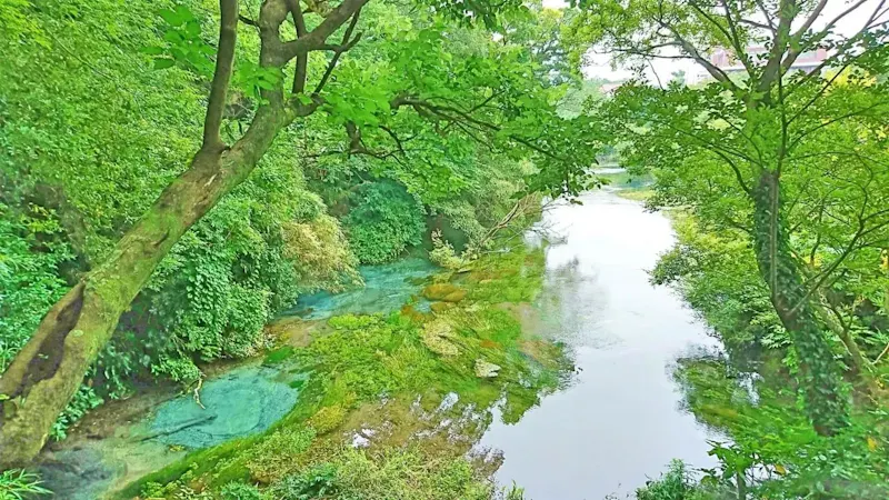 柿田川湧水