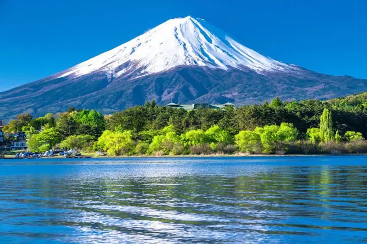 三島大社周辺の観光スポットを巡ろう！