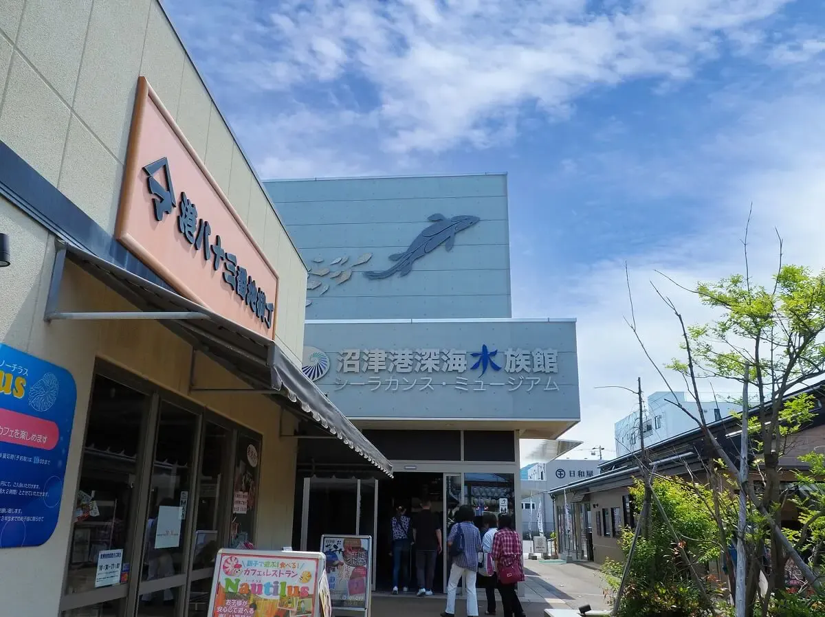沼津港深海水族館(写真 6)