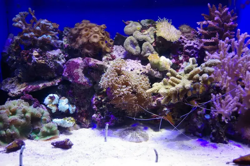 沼津港深海水族館